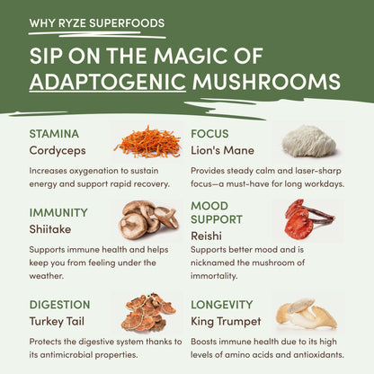 Mushroom Matcha (1 Pack - 30 Servings)