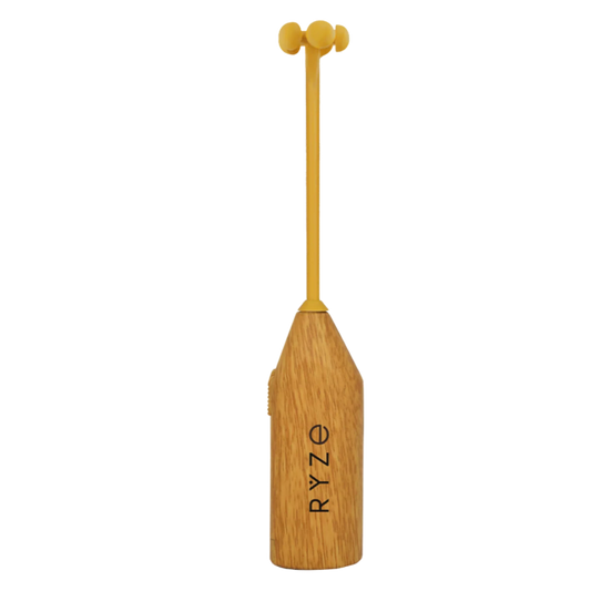 FREE RYZE Mushroom Frother